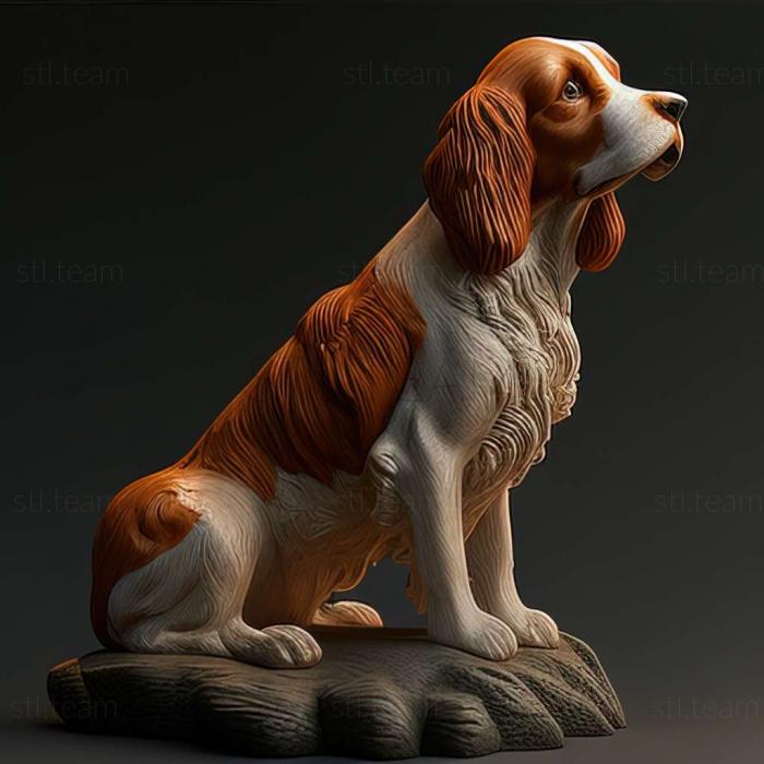 3D модель Вельш-спрингер-спаниель собака (STL)